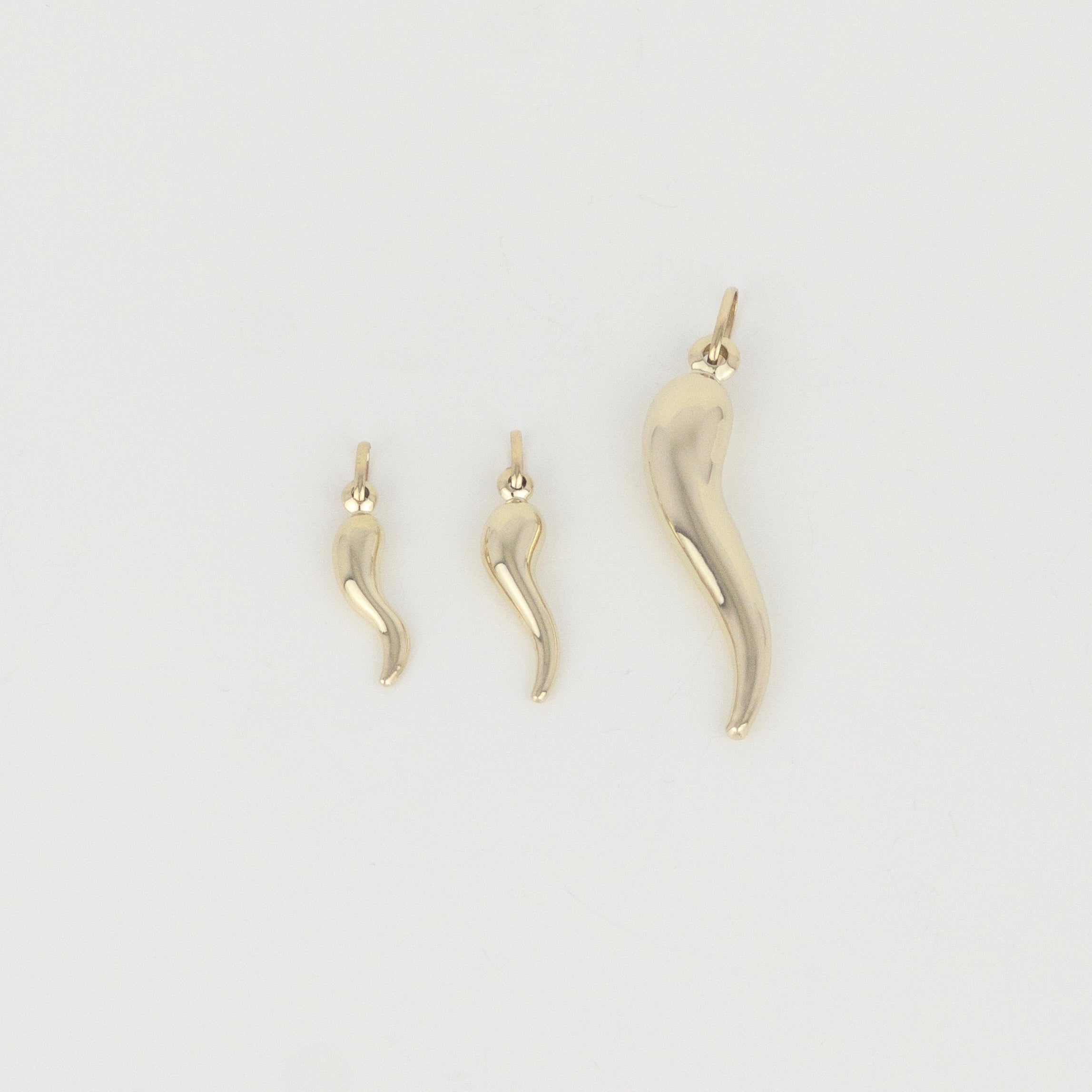 Italian Horn Pendant - 10K Gold