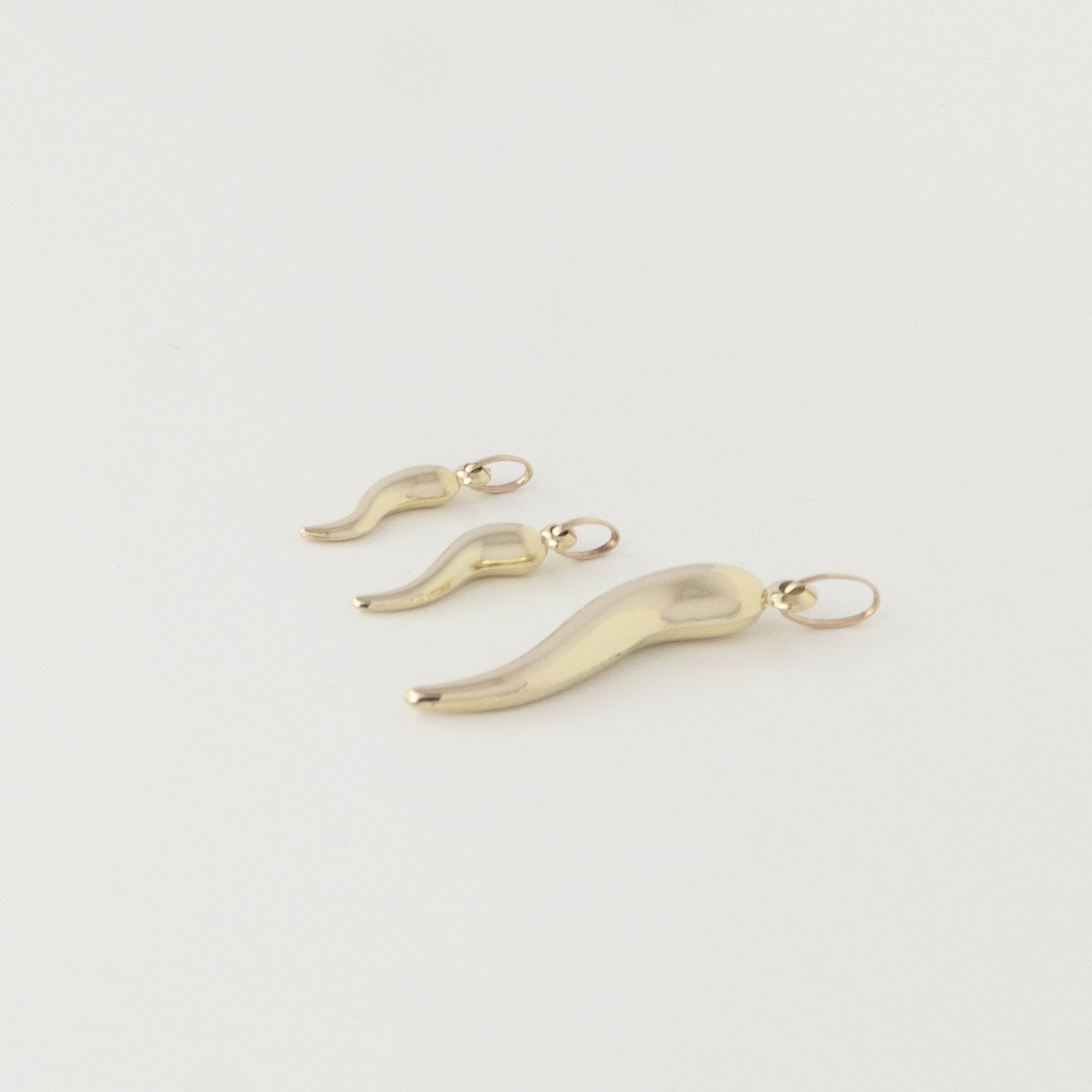 Italian Horn Pendant - 10K Gold