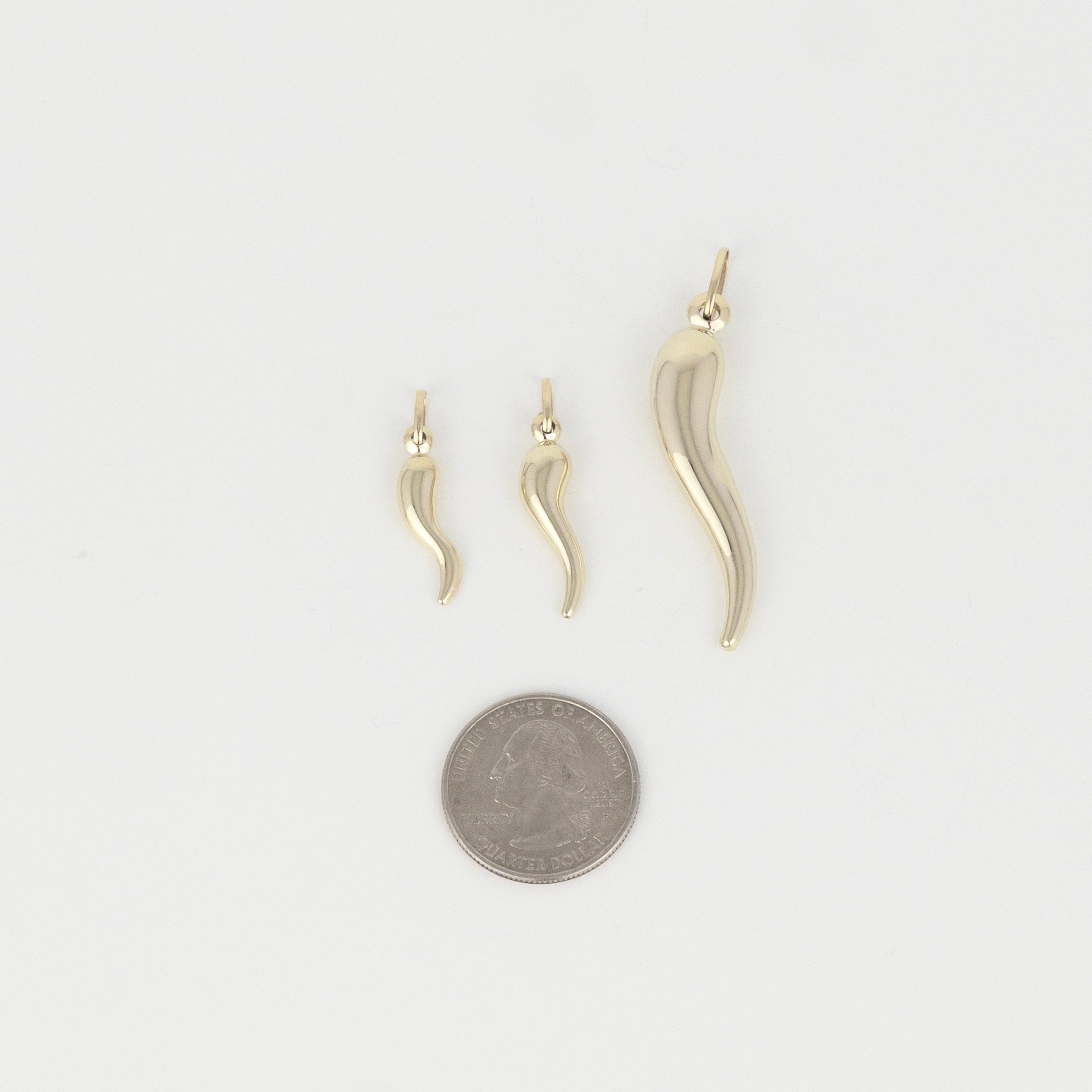Italian Horn Pendant - 10K Gold