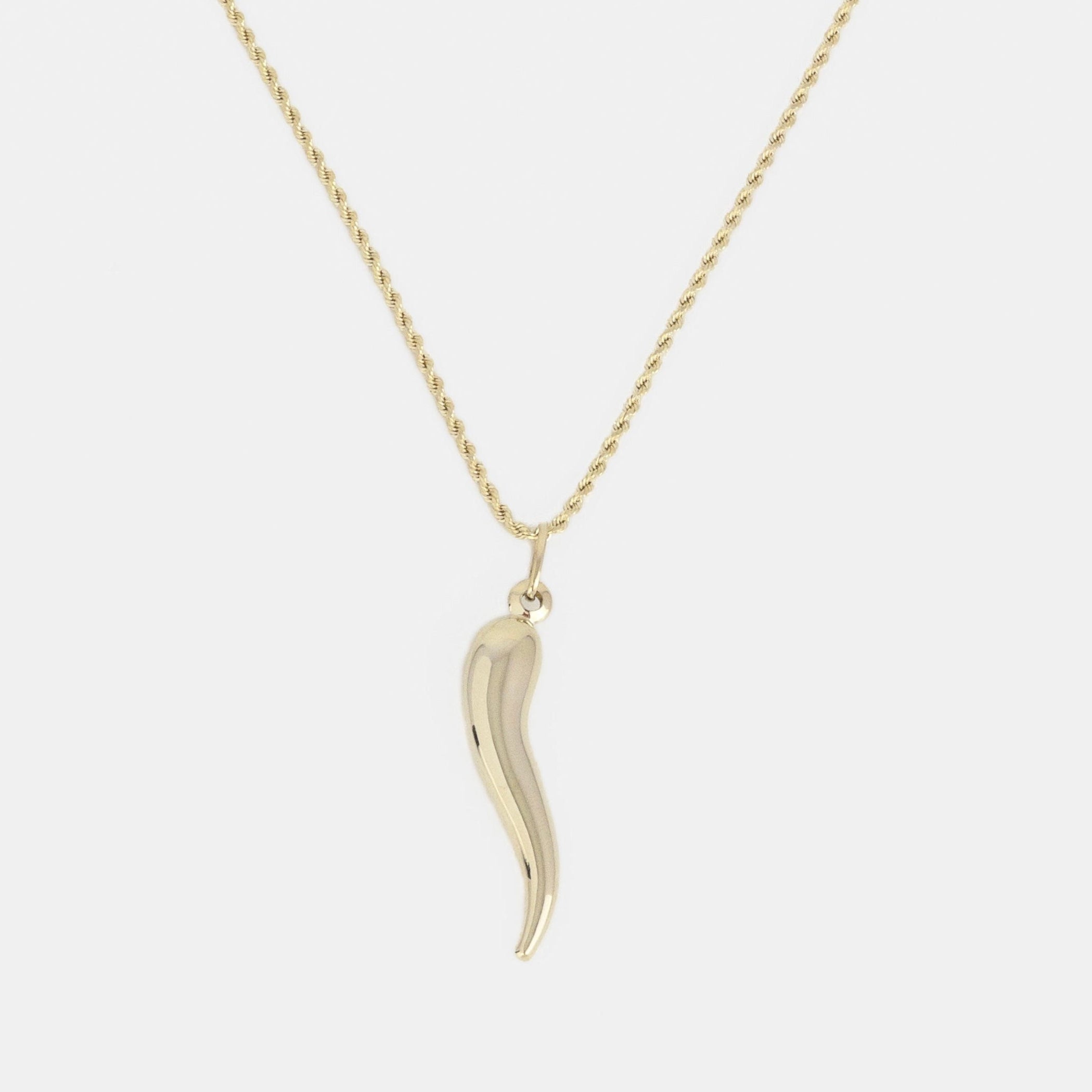 Italian Horn Pendant - 10K Gold