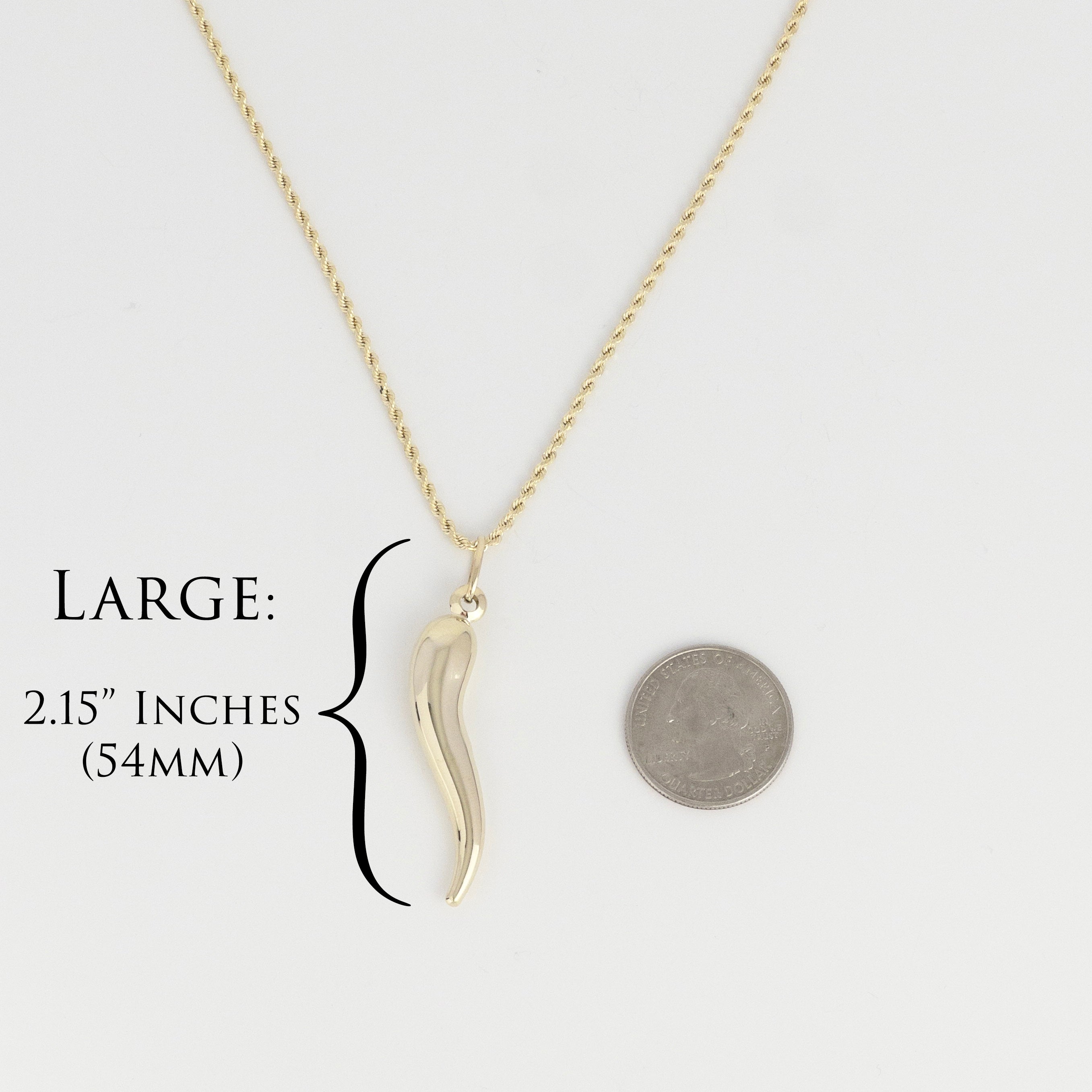 Italian Horn Pendant - 10K Gold