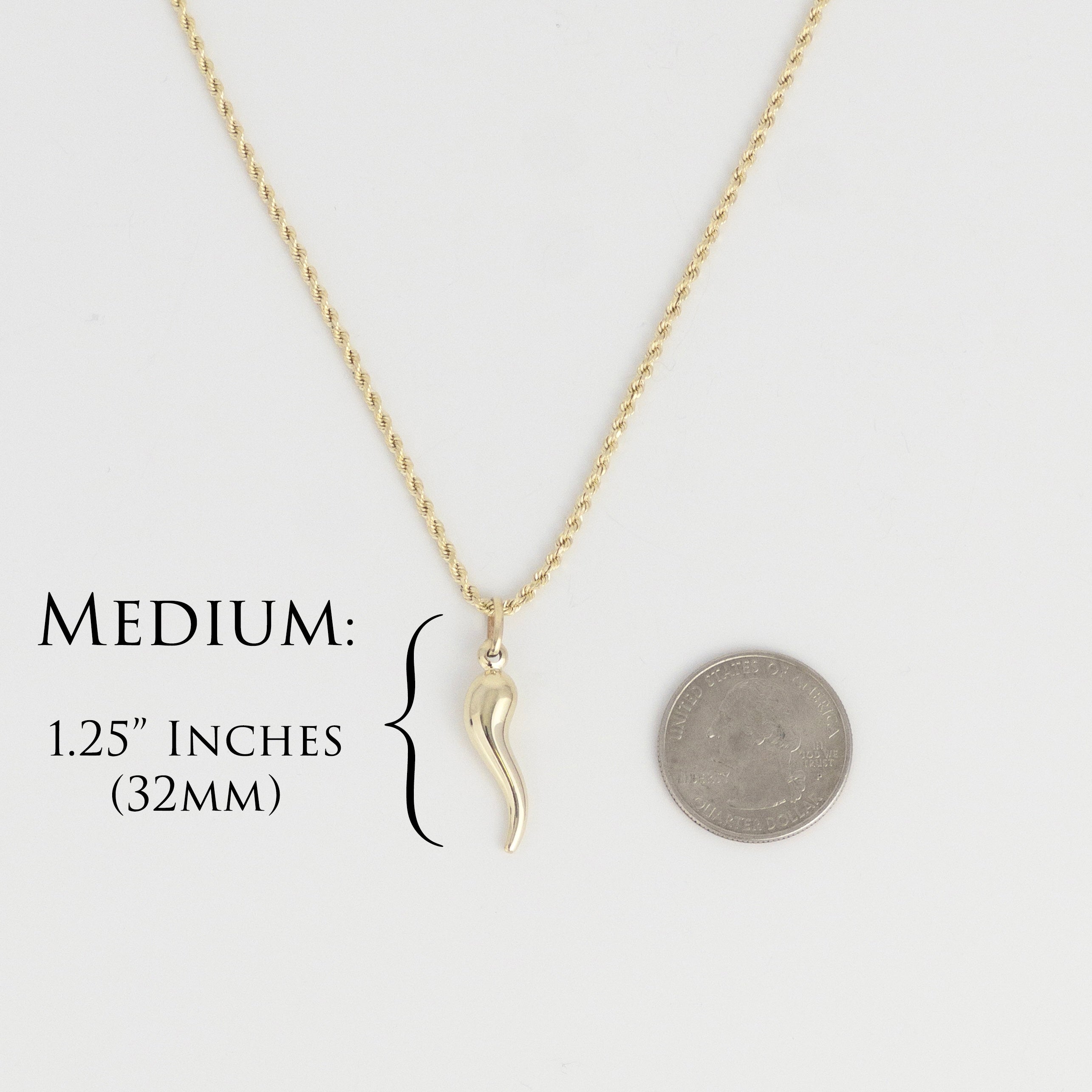 Italian Horn Pendant - 10K Gold
