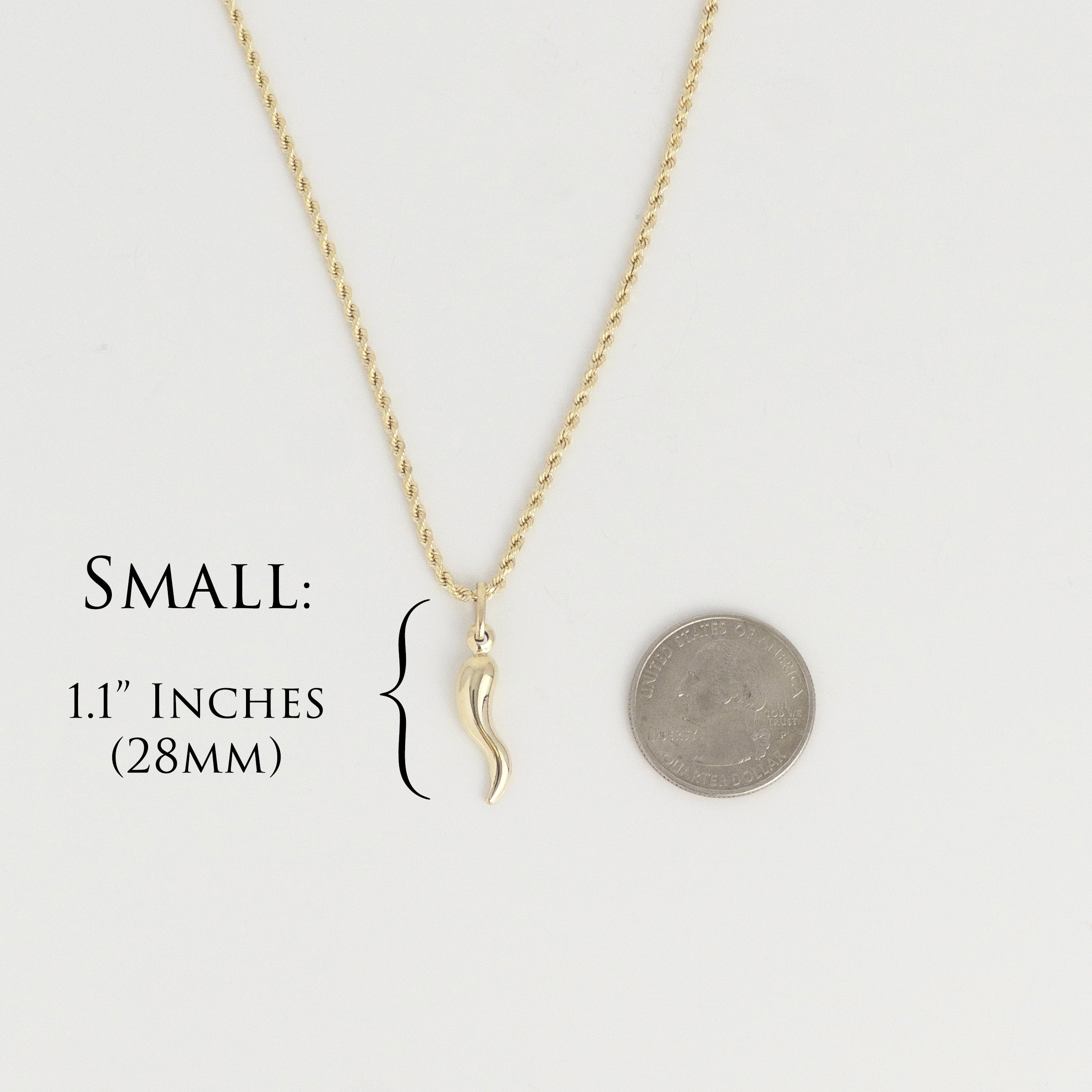 Italian Horn Pendant - 10K Gold